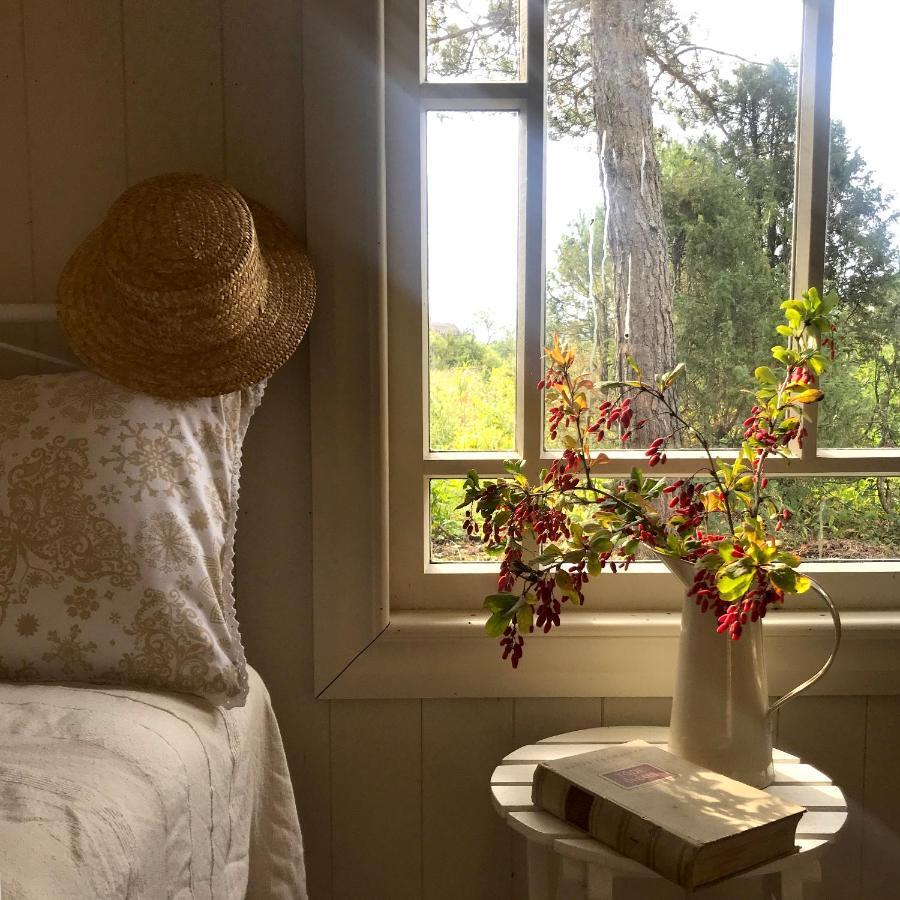 Paehkli Seaside Cottage With Cozy Outdoor Patio Koiguste Luaran gambar