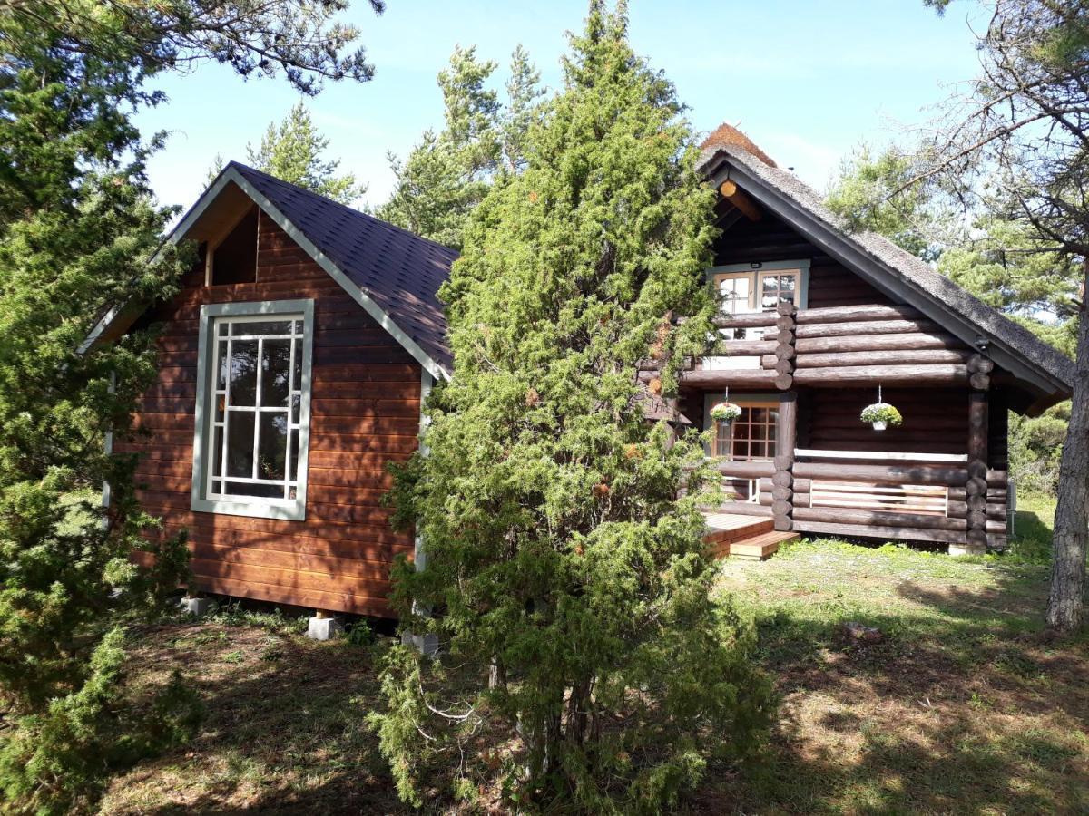 Paehkli Seaside Cottage With Cozy Outdoor Patio Koiguste Luaran gambar