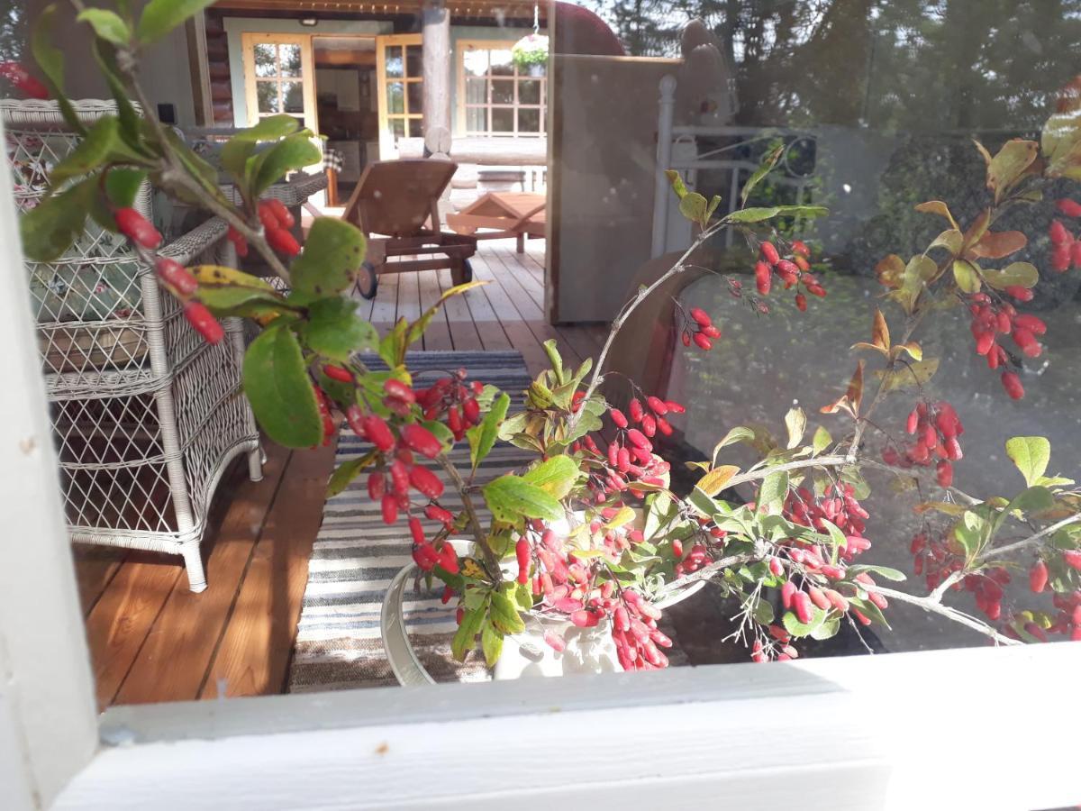 Paehkli Seaside Cottage With Cozy Outdoor Patio Koiguste Luaran gambar